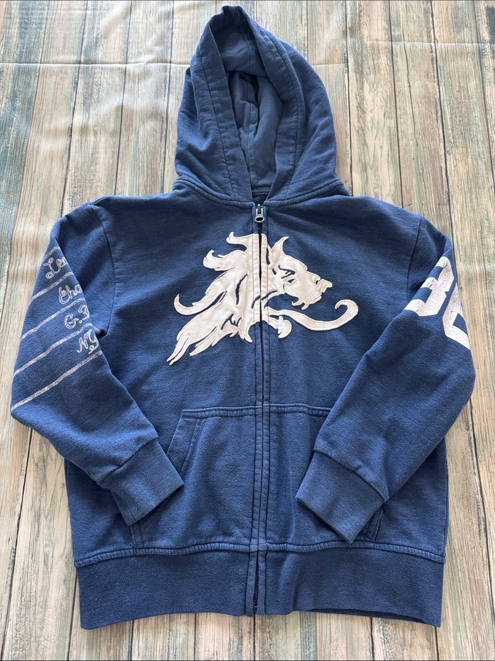 GAPKids Blue Zip-Up Hoodie (Sz: S 7/8)